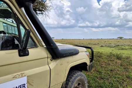 2-Day Zanzibar to Mikumi Safari by SGR Train