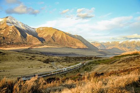 TranzAlpine Train & Small Group Tour to Arthurs Pass with Lunch