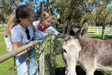 Private Swan Valley Family Fun Day Wildlife Chocolate and Winery