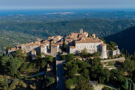 Full-Day Shared Tour Provence and its Medieval Villages from Nice