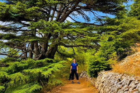 Private Baalbek, Ksara Winery & Chouf Cedars | Guided Tour
