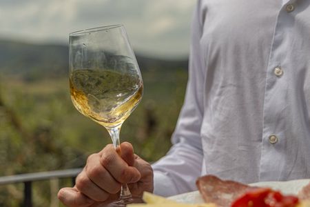[MAX 8pp] Gelato, Wine & Cheese in San Gimignano from Florence