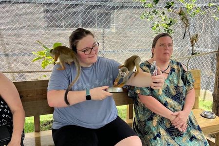 Puerto Plata: 7 Waterfalls of Damajagua & Monkey Sanctuary Tour