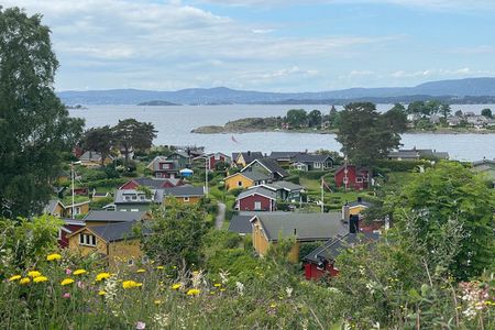 3 Hours Island Hopping Tour in Oslo