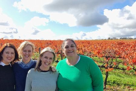 McLaren Vale Small Shared Tour with Wine Tasting and Lunch