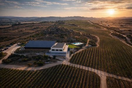 Wine tasting in Gallura with typical products