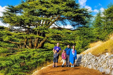 Private Cedar Hike, Beiteddine Palace & Deir el Qamar Tour