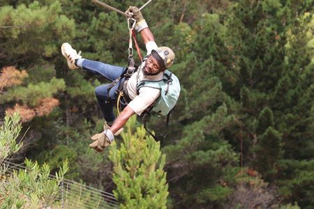 Cape Town Zipline, Penguins and Cape of Good Hope Private Tour
