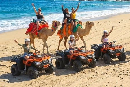 Cabo Camel Safari & FREE Beach ATV Adventure and Tequila Tasting