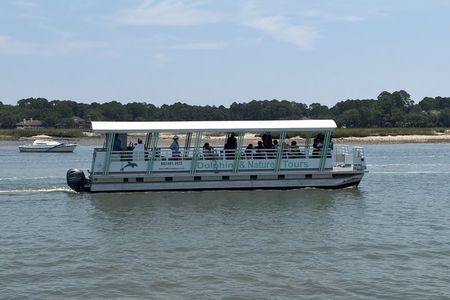 Dolphin Viewing Sunset Cruise