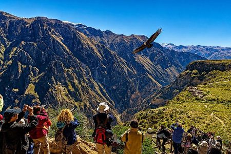 Arequipa to Puno via Colca Canyon 2 days with hotel