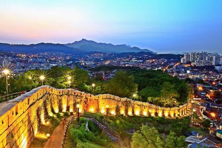 Private Seoul Night Walking Tour Naksan Park and Gwangjang Market