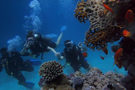 Orange Island Trip with Snorkeling and Diving