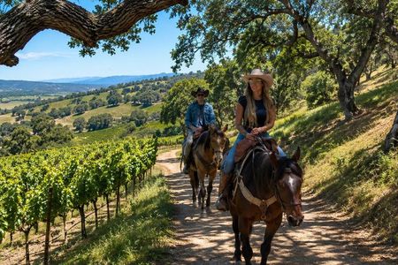 Private Horseback Riding and Wine Tasting Tour
