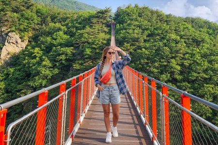 DMZ with Suspension Bridge