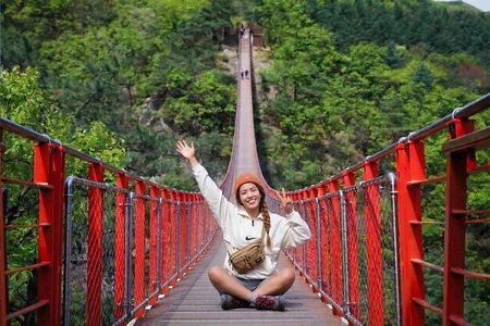 DMZ Guided Tour & North Korean Defector/Suspension Bridge