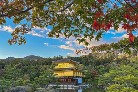 Traversing Kyoto's Scenic West - Arashiyama to Kinkakuji