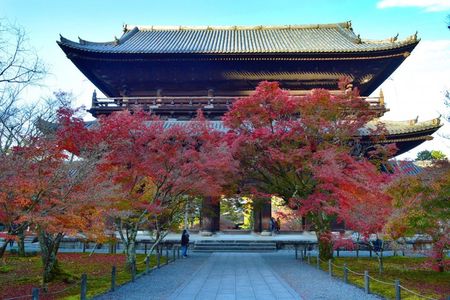 Bamboo Artistry, Zen Serenity & with Ginkaku-ji in Kyoto