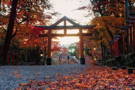 Sacred Peak and Scenic View Hieizan Enryaku ji and Hiyoshi Shrine