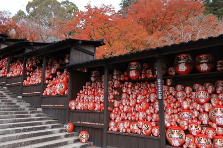 Osaka's Secret Adventures: Daruma Magic and Minoh Falls