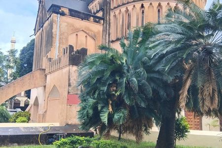 Zanzibar: Private Stone Town & Prison Island.