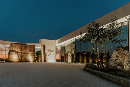 Wine tour with wine tasting in Salento