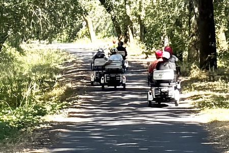 Healdsburg Wine Country Electric Trike and Wine Tour 3 Hours