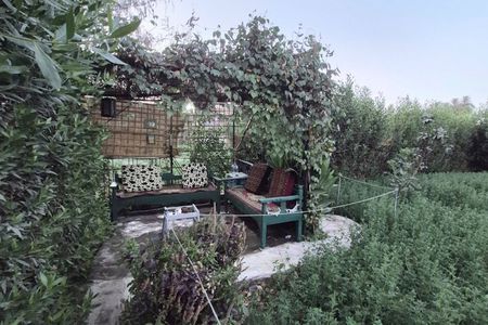 Open-Air Farm Luxor Lunch or Dinner Experience in a Green