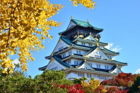 Full Day Walking Tour in Osaka Castle Temples and Ukiyoe