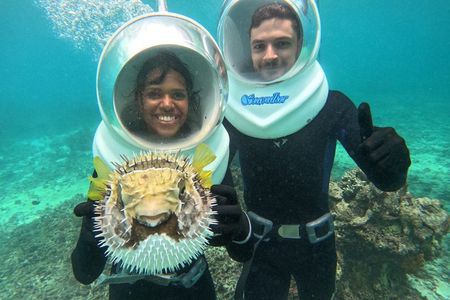 Step Into Ishigaki's Underwater Paradise！