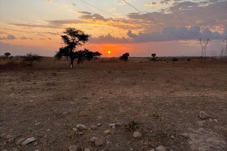 Arusha 1 Day Private Trip to Serval Wildlife Sanctuary