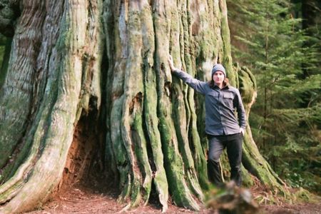 Ancient Trees of Vancouver Walking Tour