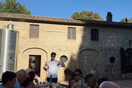 Organic Chianti Classico Wine Tasting Near Siena