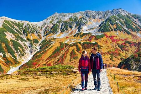 Kanazawa/Nagano: Tateyama Kurobe Snow Wall Day Tour