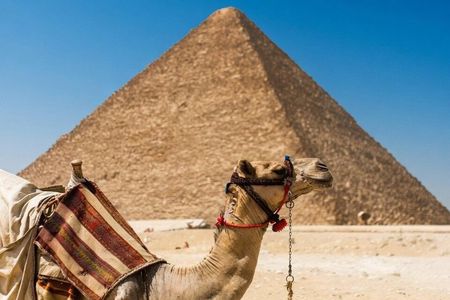 Full-Day Tour from Hurghada to Cairo Pyramids & Museum