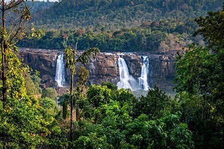 Best of Kerala Private Tour with Houseboat and Sightseeing
