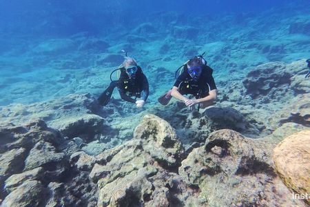 Private Discovery Scuba Diving with Sea Turtles