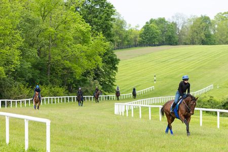 Kentucky Racehorse Training Center Tour at Pin Oak Stud
