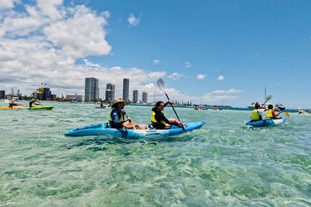 Gold Coast: Morning Kayak & Snorkel Adventure with Breakfast