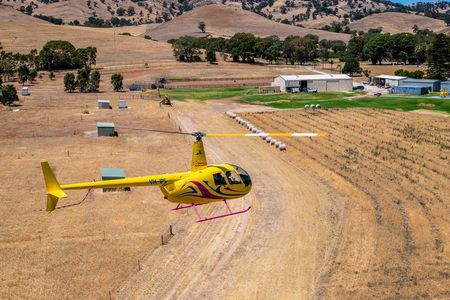 Southern Barossa & Reservoirs: 15 Minute Scenic Flight