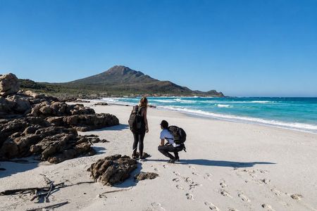 Hiking Cape of Good hope, Cape Point & Penguins Private Full Day