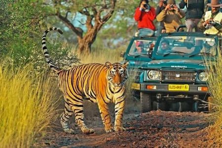 5 Day Golden Triangle Tour W/Ranthambore Tiger Safari From Delhi