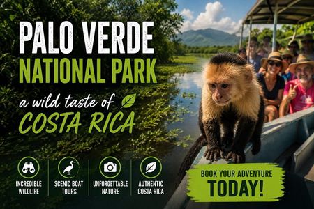 Palo Verde National Park - a wild taste of Costa Rica