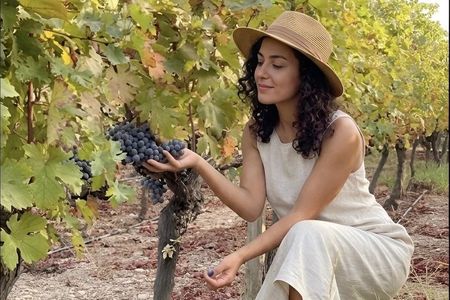Wine Tasting and Vineyard Tour in Urla (Transfer Optional)