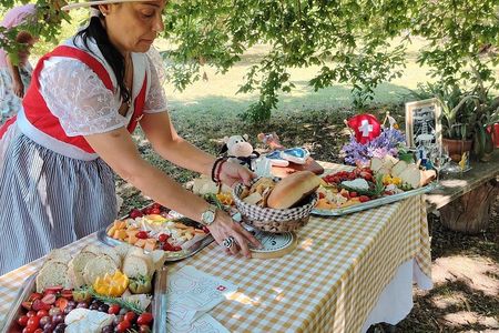 City Tour Colonia Suiza with Cheese Route Experience