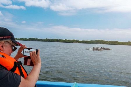 Full Day Dolphins Mangroves and Birdwatching Tour from Guayaquil