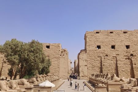 Full Day Luxor East and West Bank Tour with Egyptologist Guide