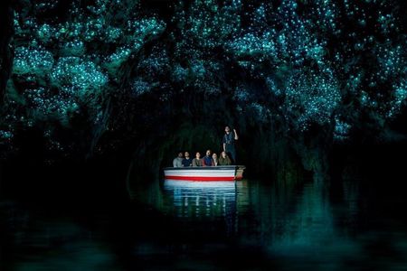 Auckland to Rotorua via Waitomo Caves Small Group Tour (One Way)