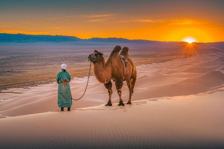 Private 2 day Semi-Gobi Desert & Khustai National Park Tour