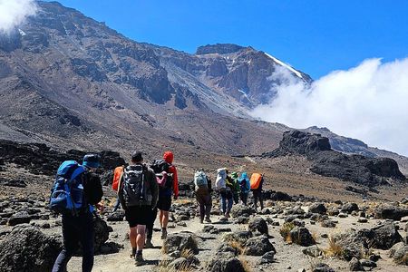 Mount Kilimanjaro 9 Day Lemosho Route Private Trek